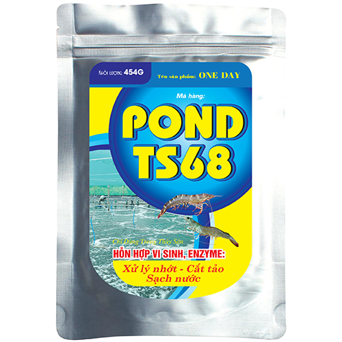 POND TS68